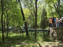 -原山国家森林公园