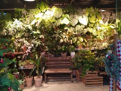 -自由生长植物工作室(深港花卉中心店)