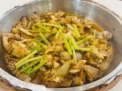 -金山记靓鸡专门店·中山菜