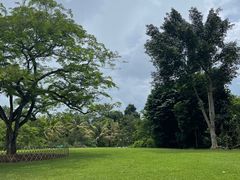 -中国科学院西双版纳热带植物园