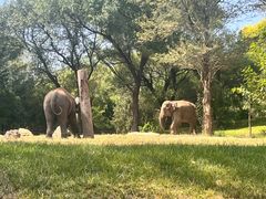 -北京野生动物园