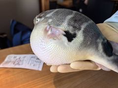 -永安鱼庄·镇江菜(东吴路店)