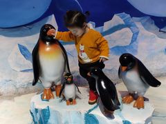 -芜湖新华联大白鲸海洋公园