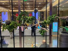 -星河湾温泉洗浴酒店