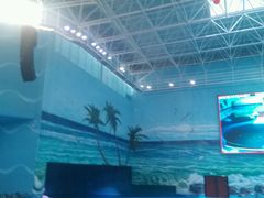 -多彩贵州城极地海洋世界