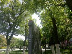 -木塔寺遗址生态公园