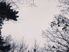 -气象山健身公园