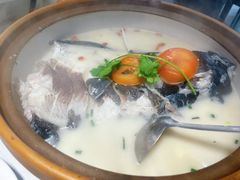 -全乐鱼馆·淳牌有机鱼直营店