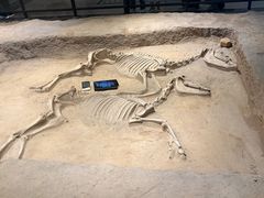 -洛阳周王城天子驾六博物馆