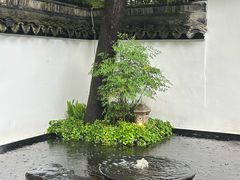 -宋宴(虎跑店)