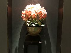 -璞·澐间影院式足道SPA(尚悦湾店)