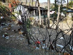 -南窖乡水峪村山情农家