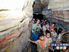 -国家自然博物馆