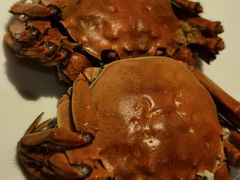 大闸蟹-深圳四季酒店·馥自助餐厅