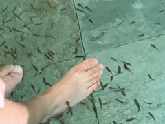 -北京君和豪生温泉度假酒店