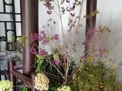 -杭州植物园