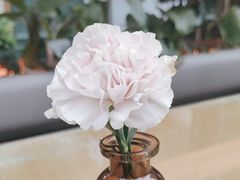 -Simple Yummy简单美味(上邦百汇城店)