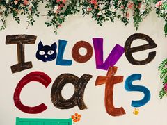 -藏猫猫咖啡主题馆(中央大道店)