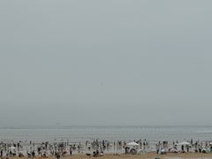 -日照海滨国家森林公园