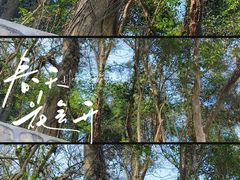 -大蜀山国家森林公园