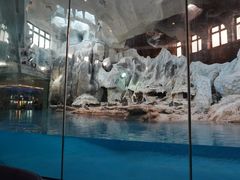 -帝企鹅自助餐厅•儿童岛•真企鹅(长隆企鹅酒店)