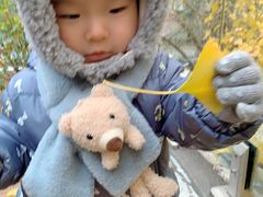 -腾爱熊猫咖啡生活馆(老东门店)