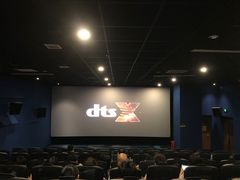 -环球国际影城(天鸿广场LUXE巨幕店)