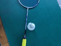 -东丽温泉羽毛球