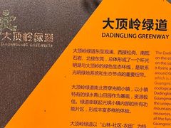 -麗枫酒店(深圳机场福永地铁站店)