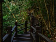 -祁门牯牛降观音堂风景区