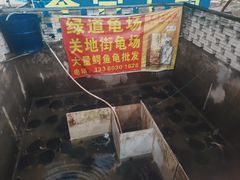 -龟场私房菜