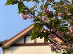 -南通鹏欣花园国宾酒店