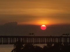 -宝安西湾红树林湿地公园