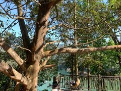 -孔雀湖生态旅游区