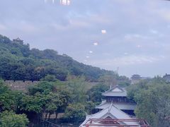 -七欣天香辣蟹火锅(南京建宁路大观天地店)