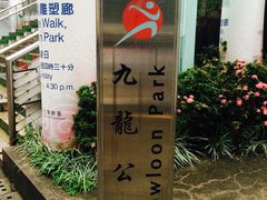 -九龙公园