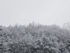 -广元曾家山国际滑雪场