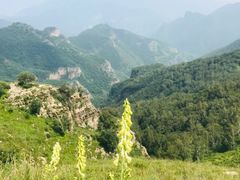 -灵山