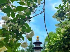 -哈尔滨极乐寺