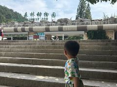 -大连森林动物园