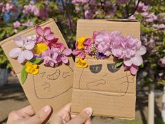 -长白岛森林公园