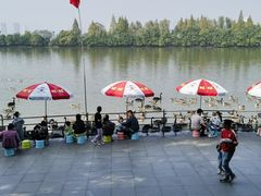 -艾溪湖湿地公园