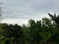 -莫子山公园