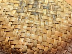 -芸山季·云南山珍菌火锅(人民广场来福士店)