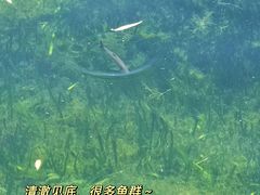 -烟袋斜街