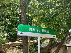 -灵岩山风景区