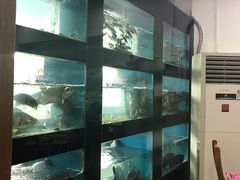 -全乐鱼馆·淳牌有机鱼直营店
