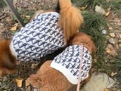 -唐小姐の猫狗洗护·购宠旗舰店(周浦万达店)