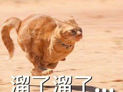 -青春飞扬网咖(剪刀石头布店)