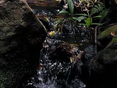 -昆明青龙峡风景区